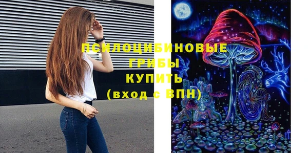 гашик Белоозёрский