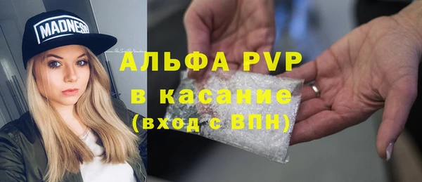 твердый Богданович