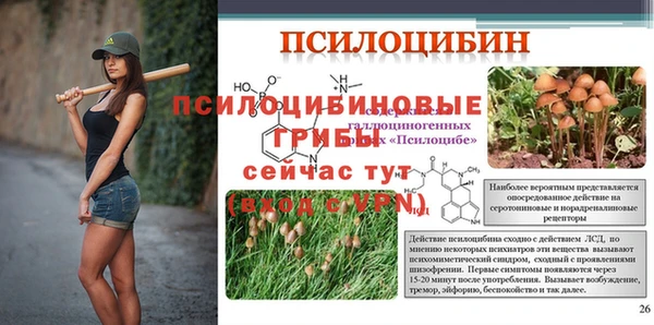 гашик Белоозёрский
