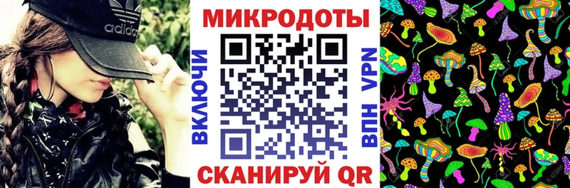купить наркоту  Короча  Псилоцибиновые грибы MAGIC MUSHROOMS 